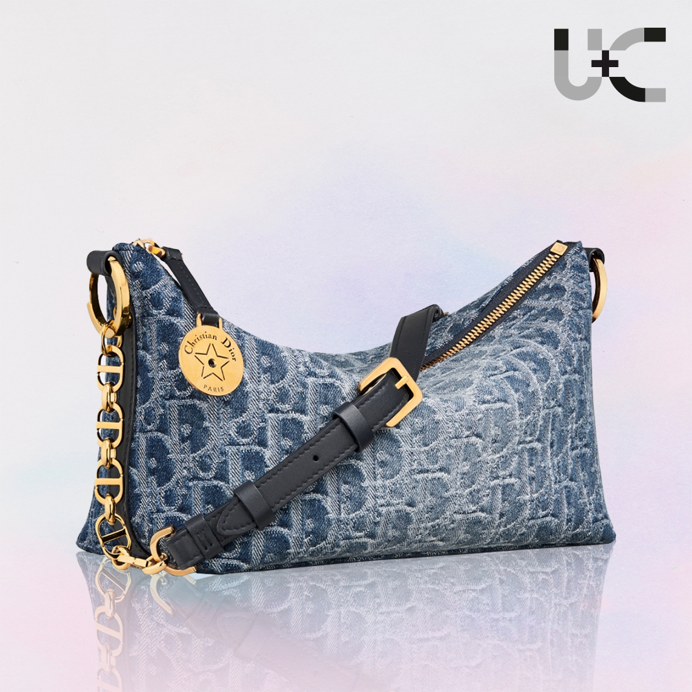 DIOR Oblique Star Hobo Denim Bag (Replica)