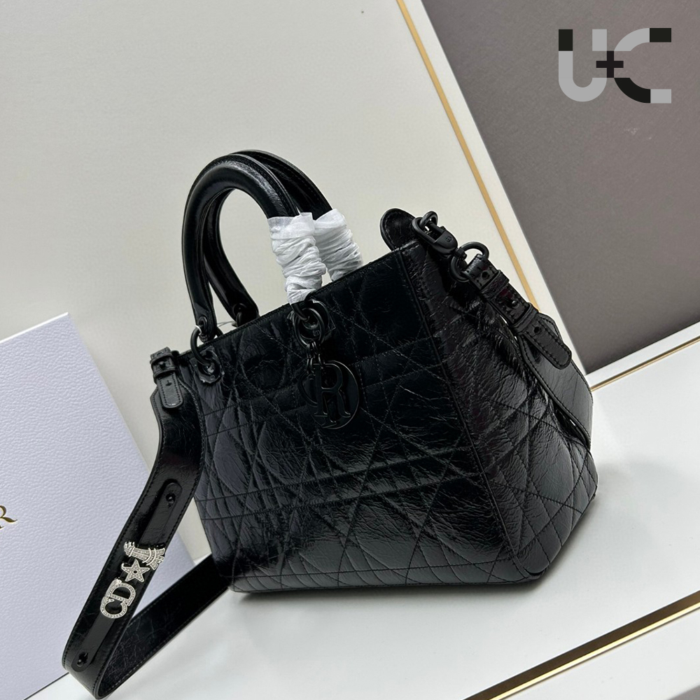 Dior Lady D-Sire bags  (Replica)