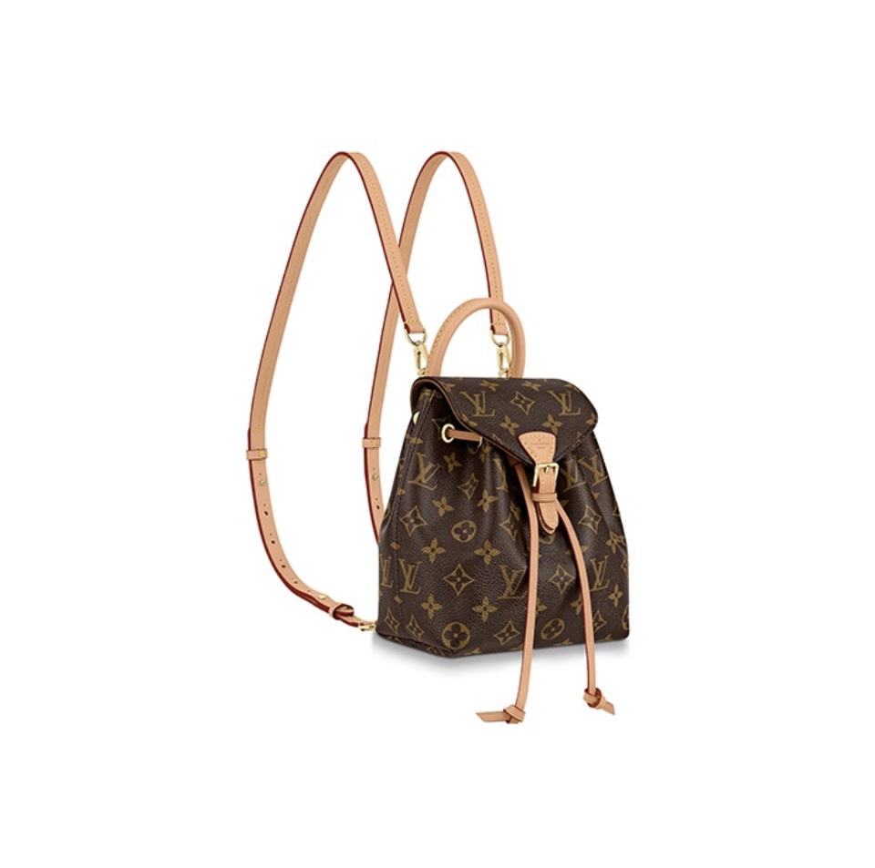 Louis Vuitton LV Montsouris Backpack(Replica)