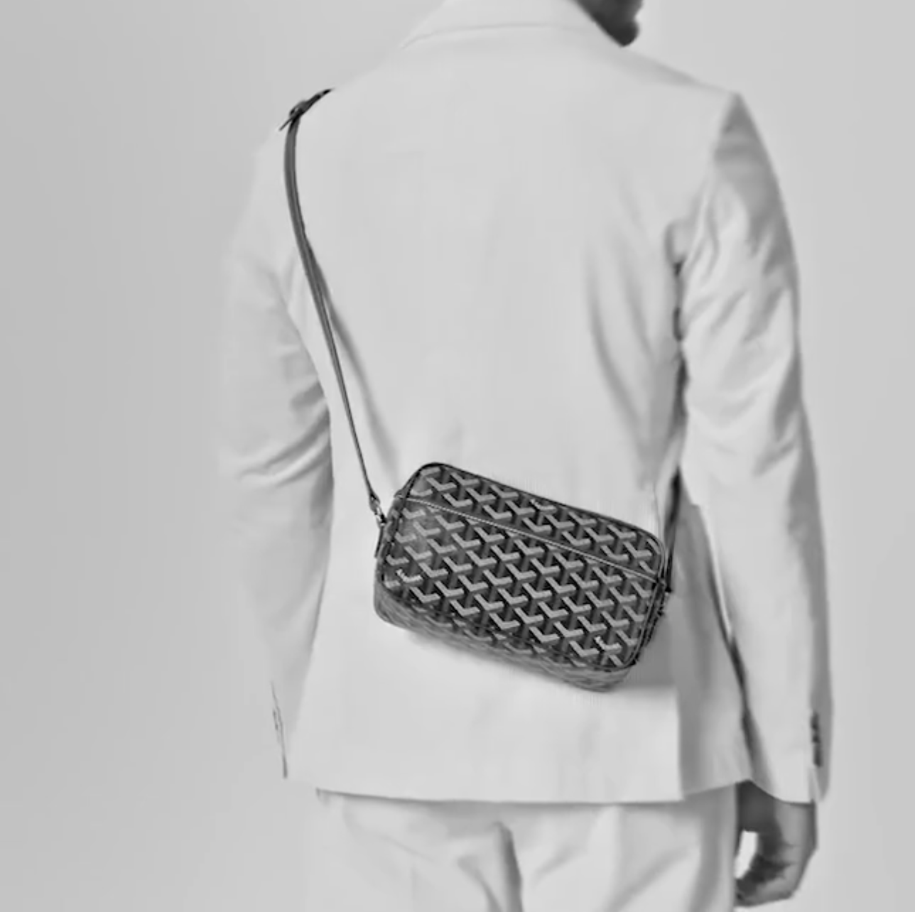 Goyard Cap-Vert PM Bag(Replica)