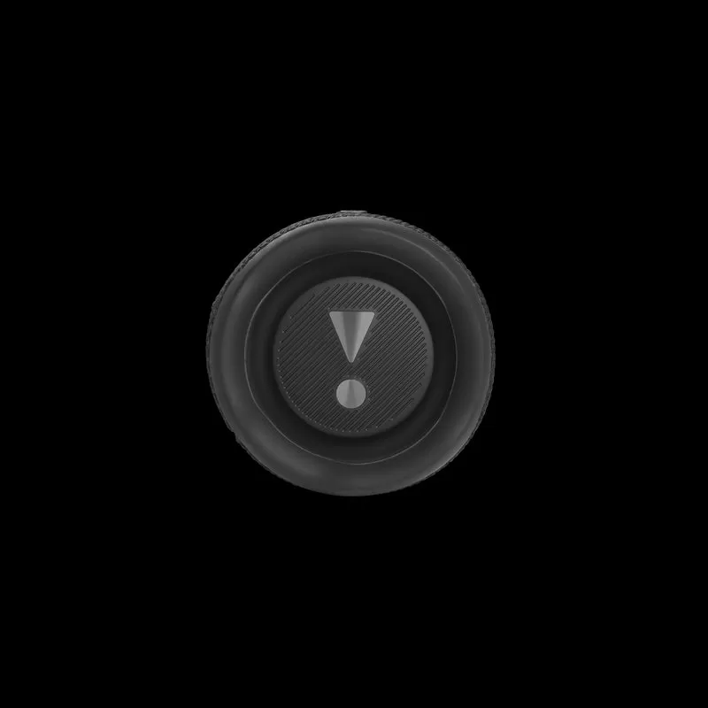 JBL Flip 6
