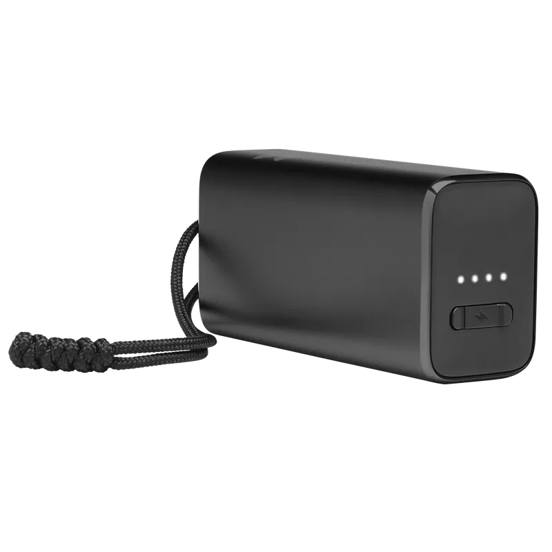 JBLUA True Wireless Flash X