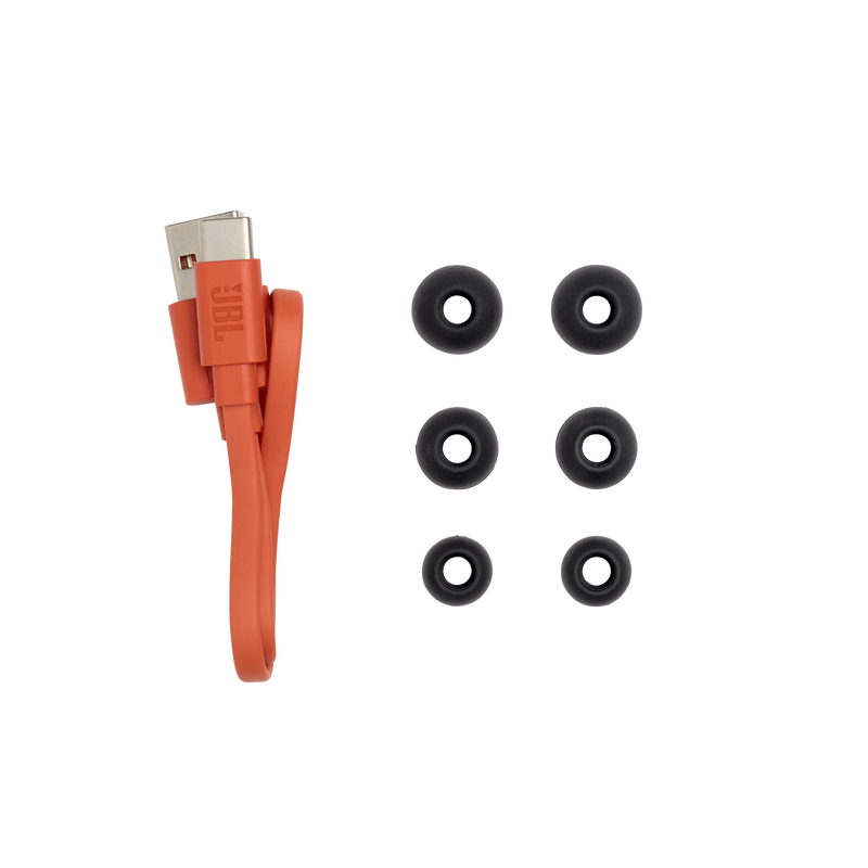 JBLEndurance Peak II