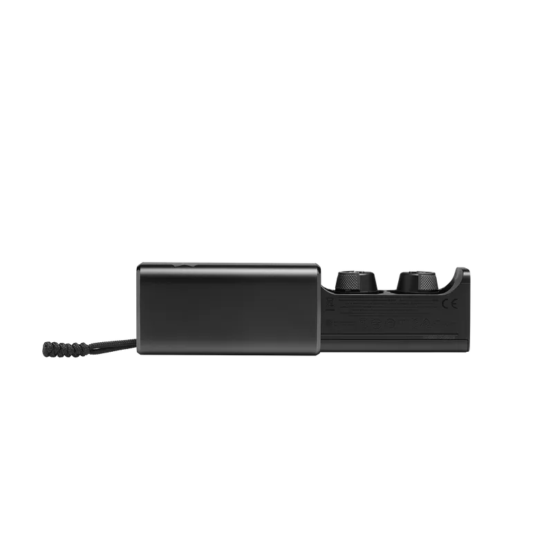 JBLUA True Wireless Flash X