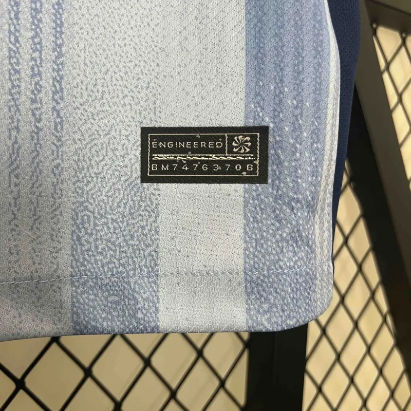 24-25 Tottenham Hotspur Away Soccer Jersey