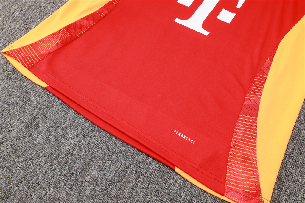 Bayern Munich Training Jersey 24/25