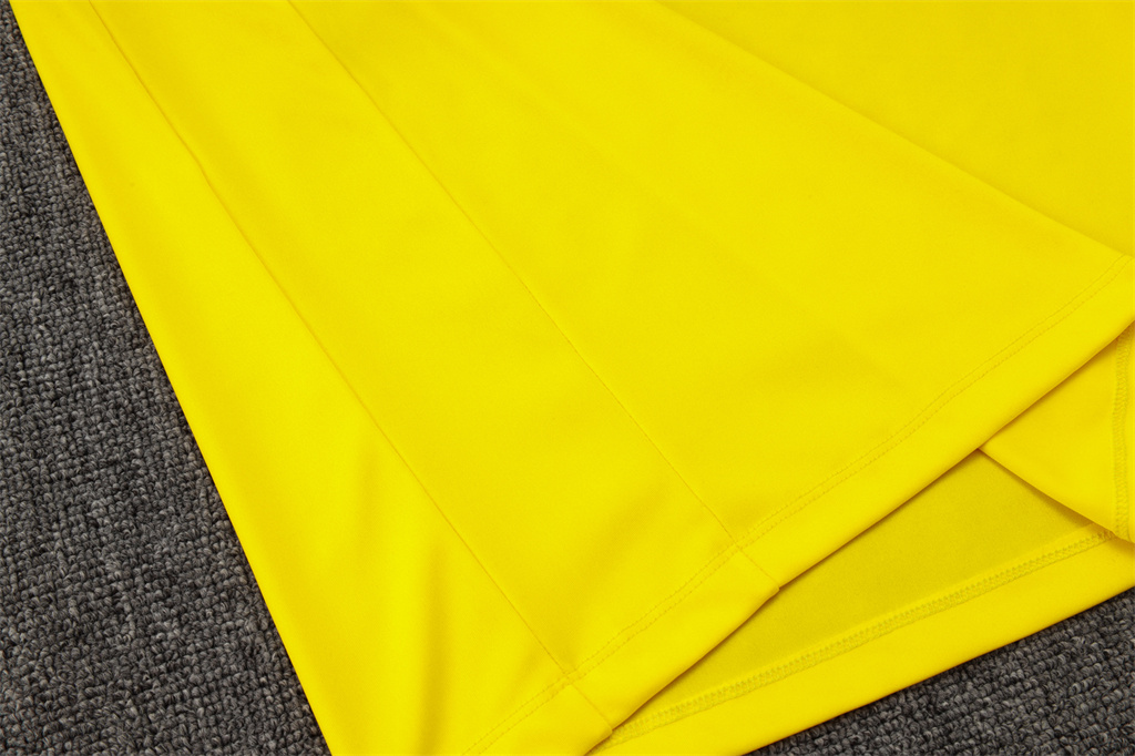 Brazil Training Short sleeve Jersey 24/25