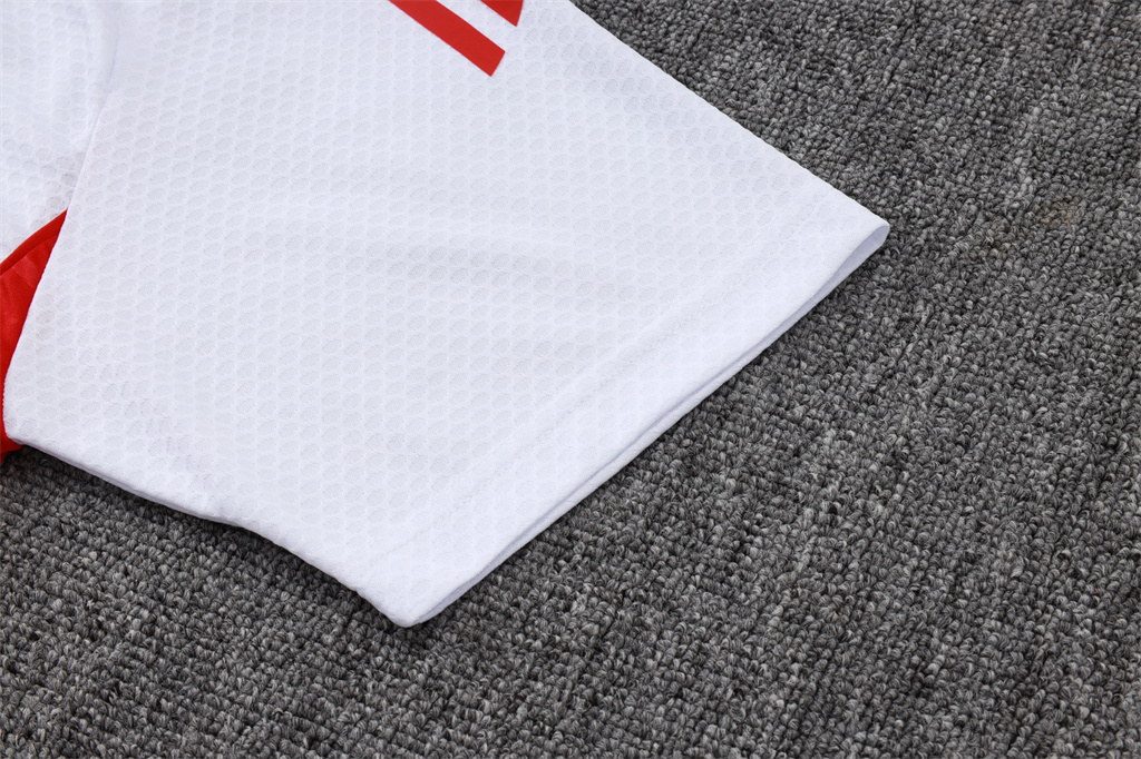 Bayern Munich POLO Jersey 25/26