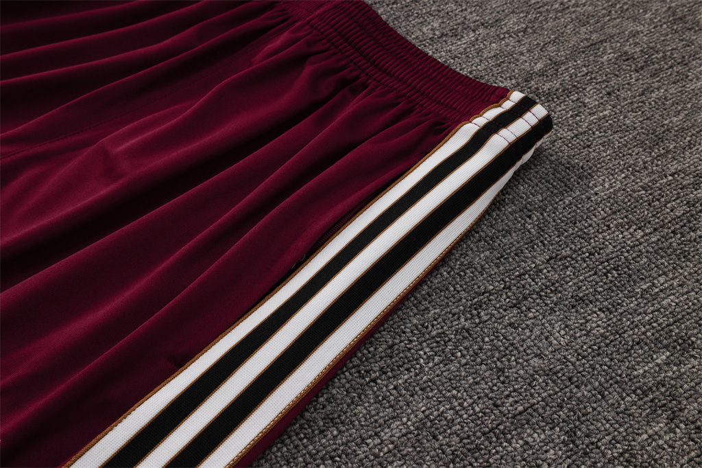 Ajax POLO Jersey 25/26