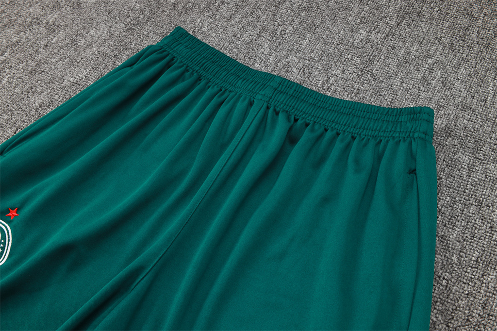 Palmeiras Training Jacket 24/25