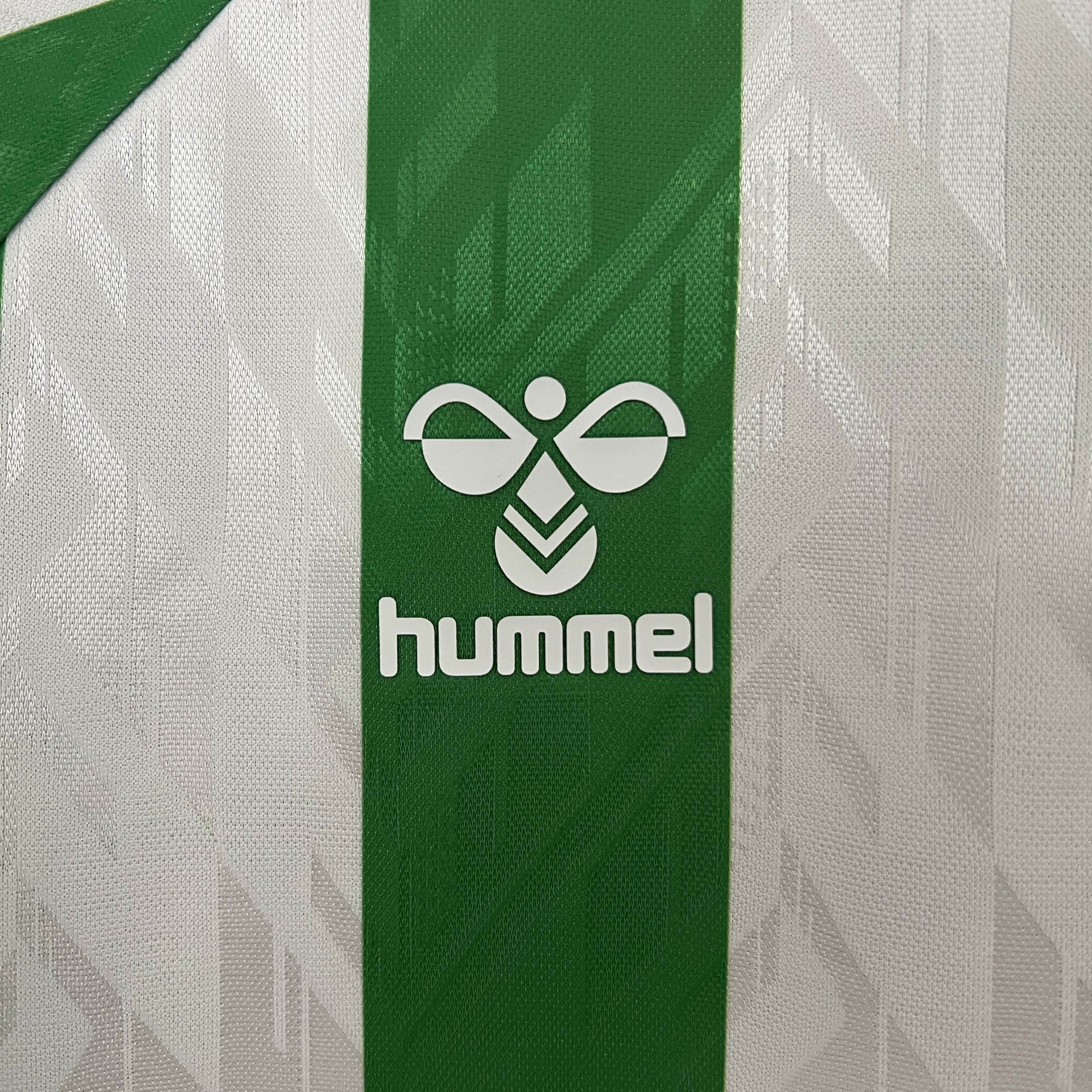 Real Betis Home Men Jersey 24/25