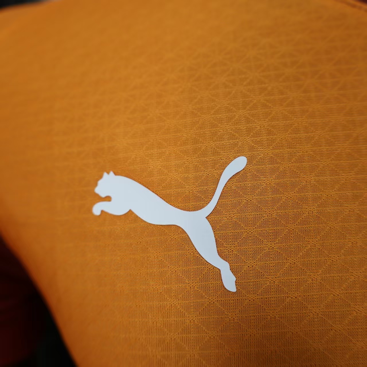 Galatasaray Home Soccer Jersey 2025-26 player version