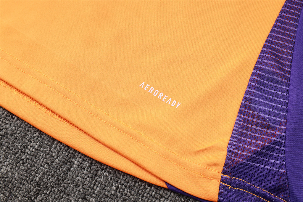 Real Madrid Training Short sleeve Jersey 24/25