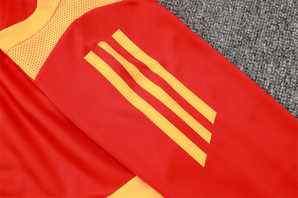 Bayern Munich Training Short sleeve Jersey 24/25