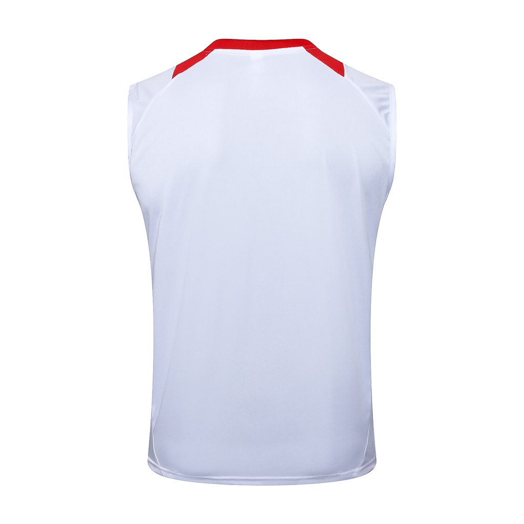 Internacional Training Jersey 24/25