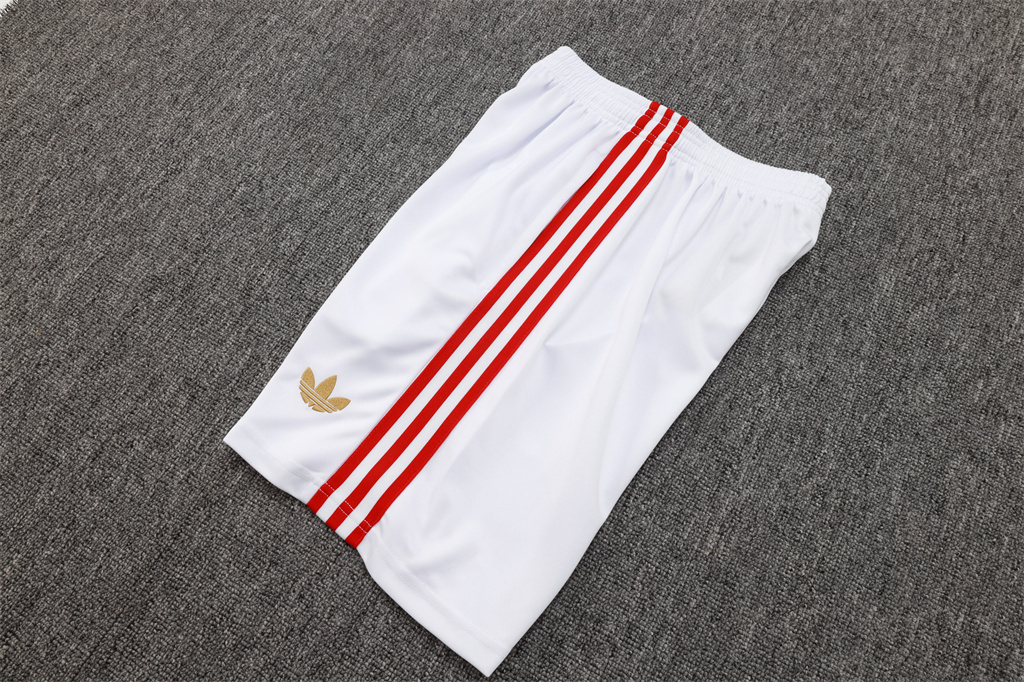 Bayern Munich Training Jersey 25/26