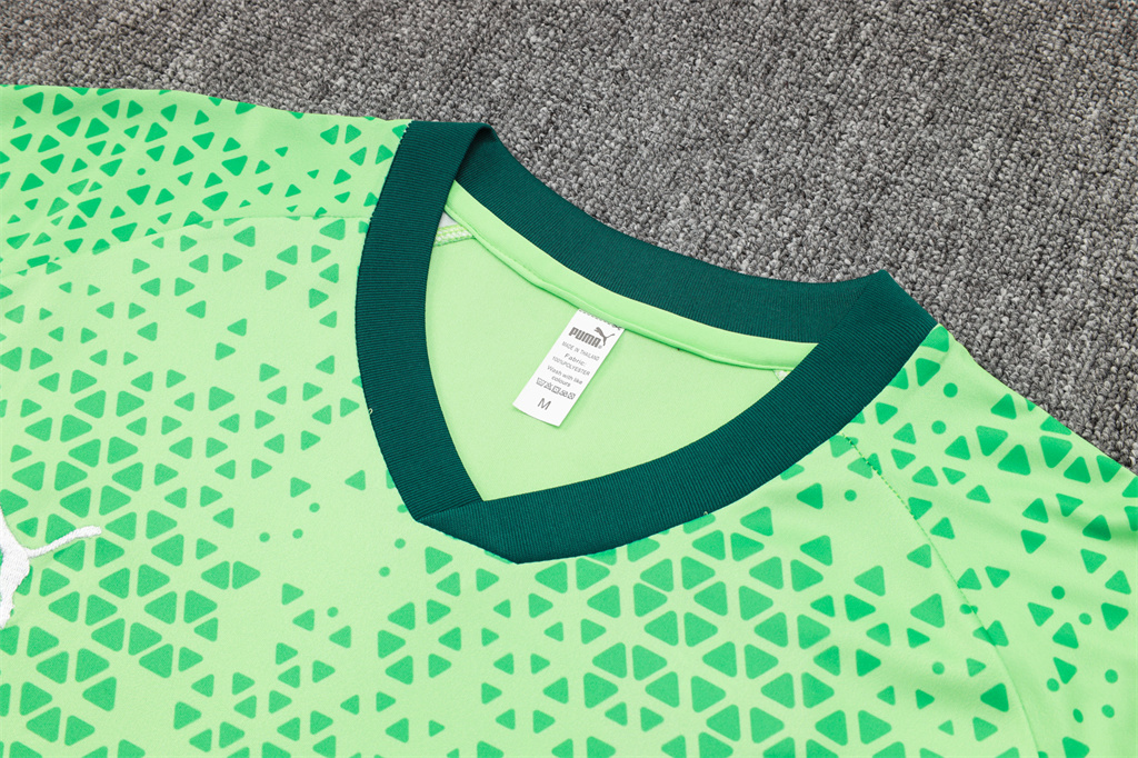Palmeiras Training Short sleeve Suit 24/25