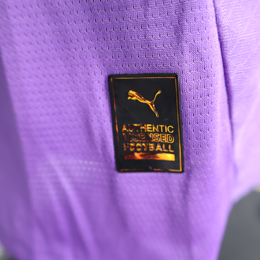 2025/2026 Dortmund Purple Goalkeeper Football Shirt