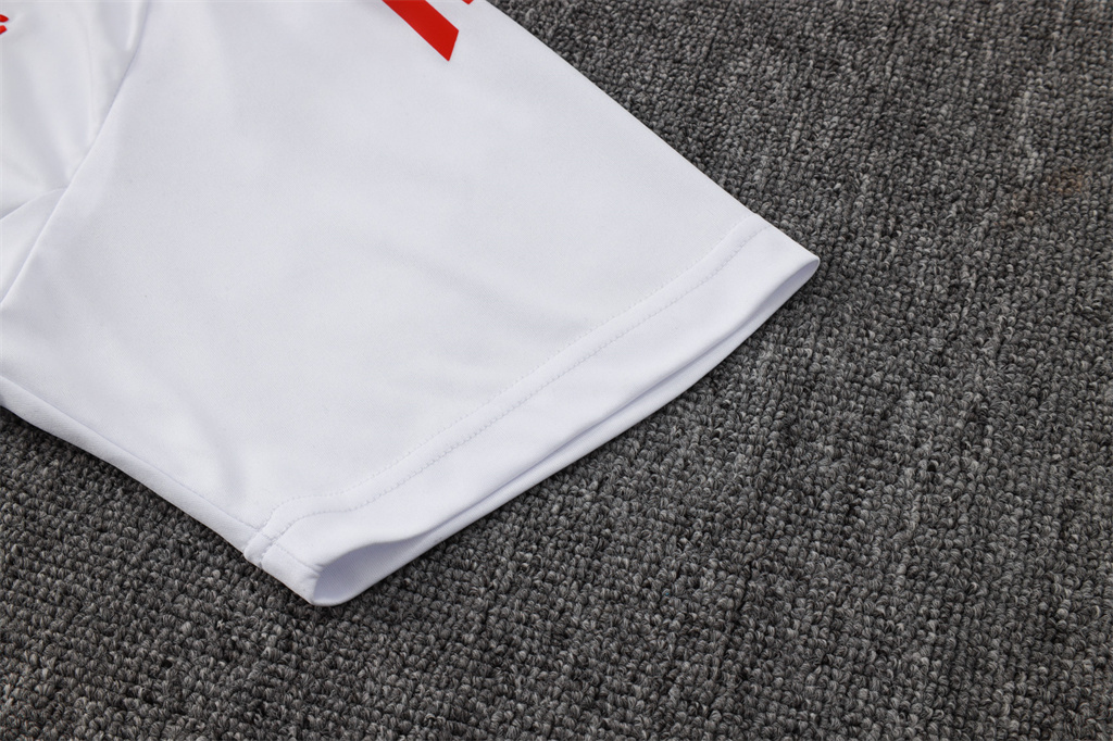 Internacional  POLO Jersey 24/25