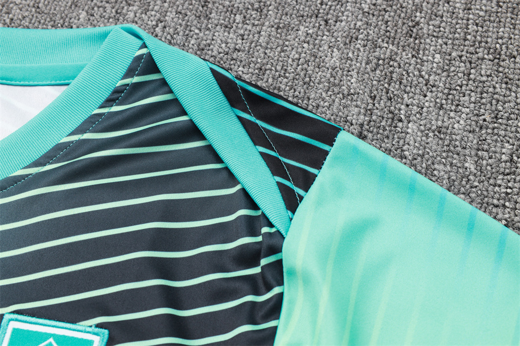 South Korea Training Short sleeve Jersey 24/25