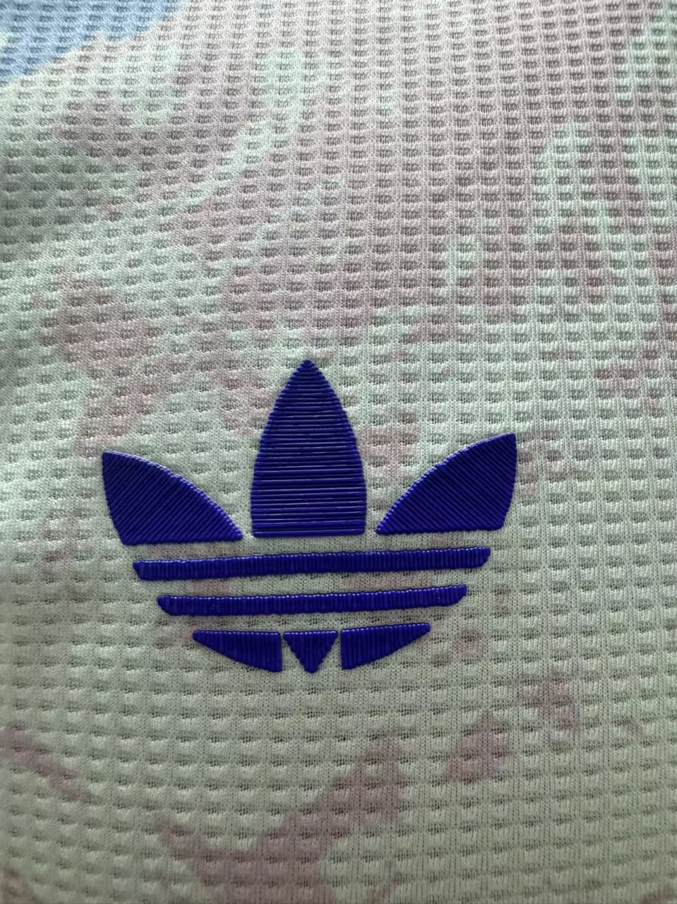 Aston Villa Man Third Player Jersey 25/26