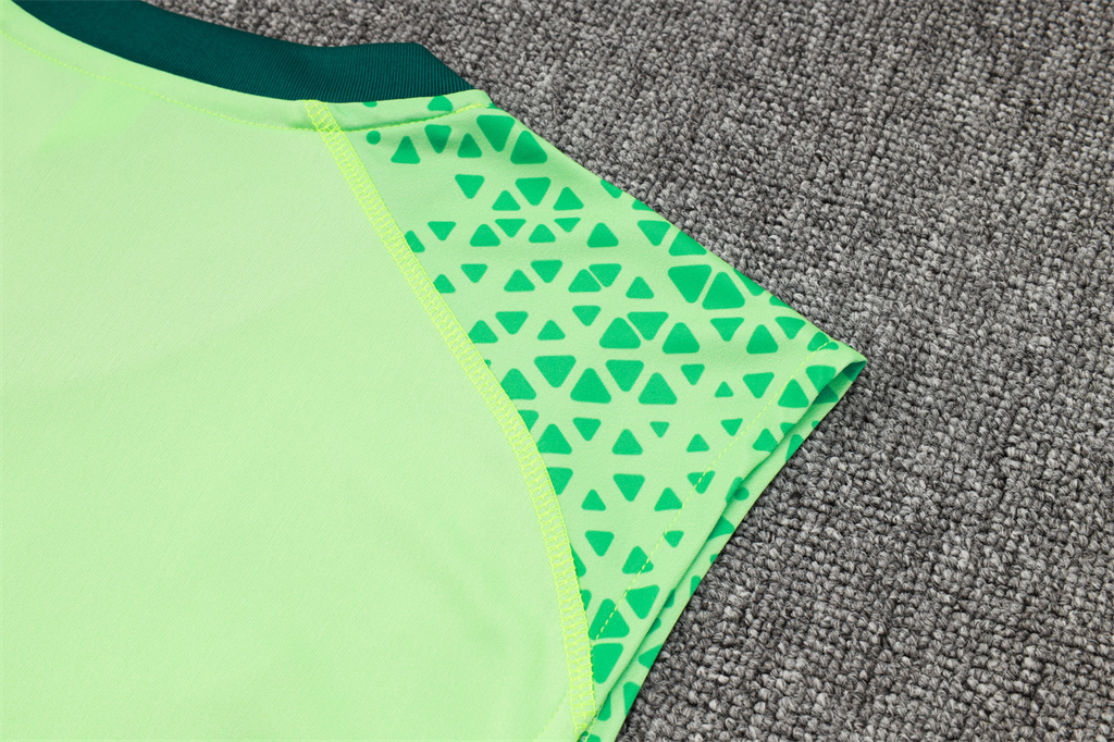 Palmeiras Training Jersey 23/24