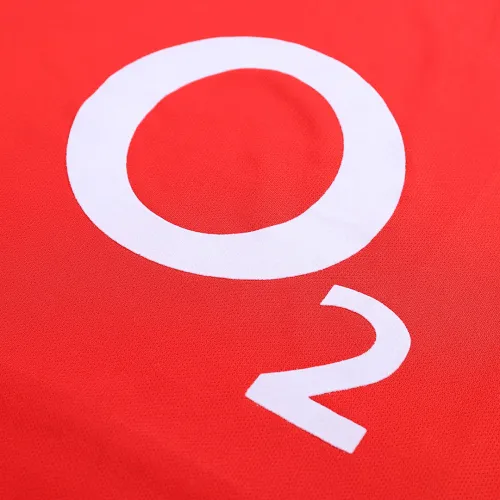 02-04 Arsenal Bergkamp #10 Retro Jersey Home