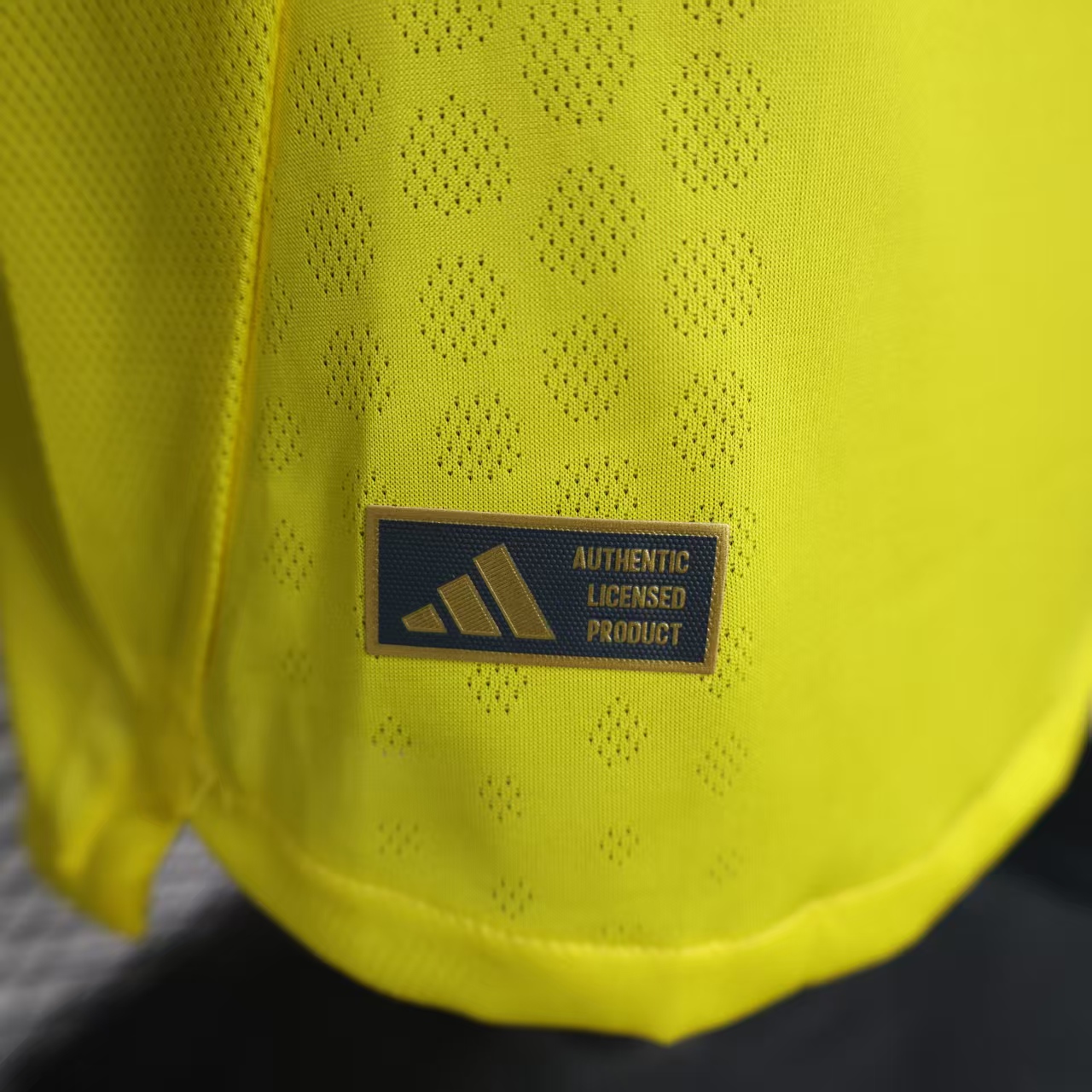 Club America Home Long sleeves Football jersey 2025-26 Player version