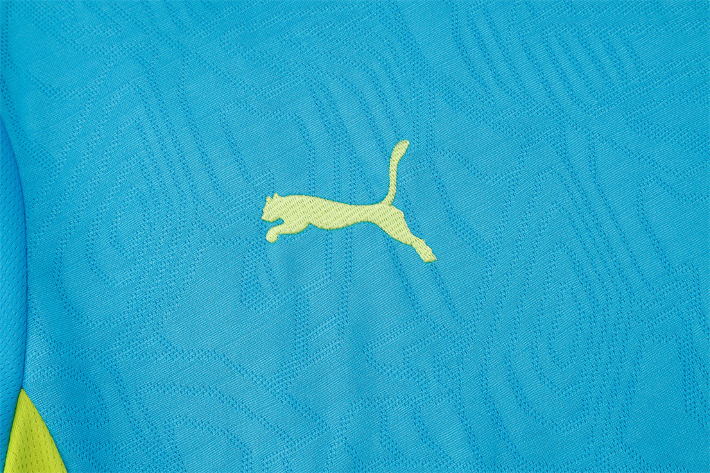 Manchester City Training Short sleeve Jersey 24/25