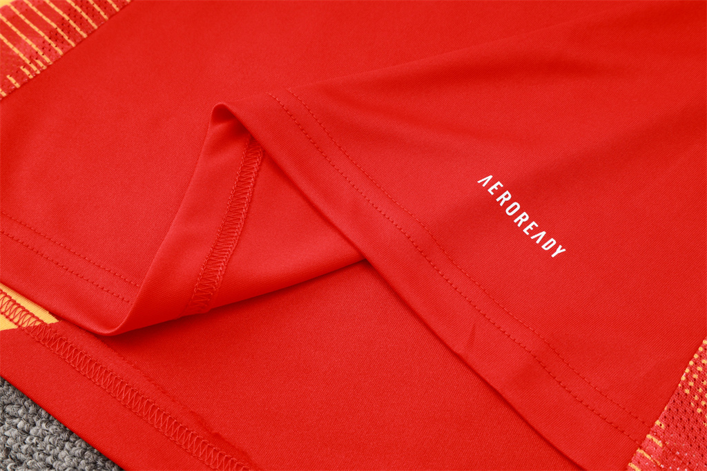 Bayern Munich Training Short sleeve Suit 24/25