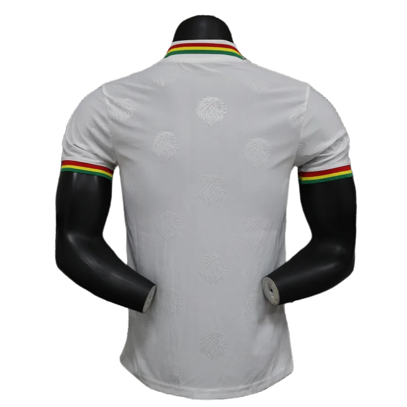 2024/2025 Senegal Special Edition Senegal Football Jersey for Players