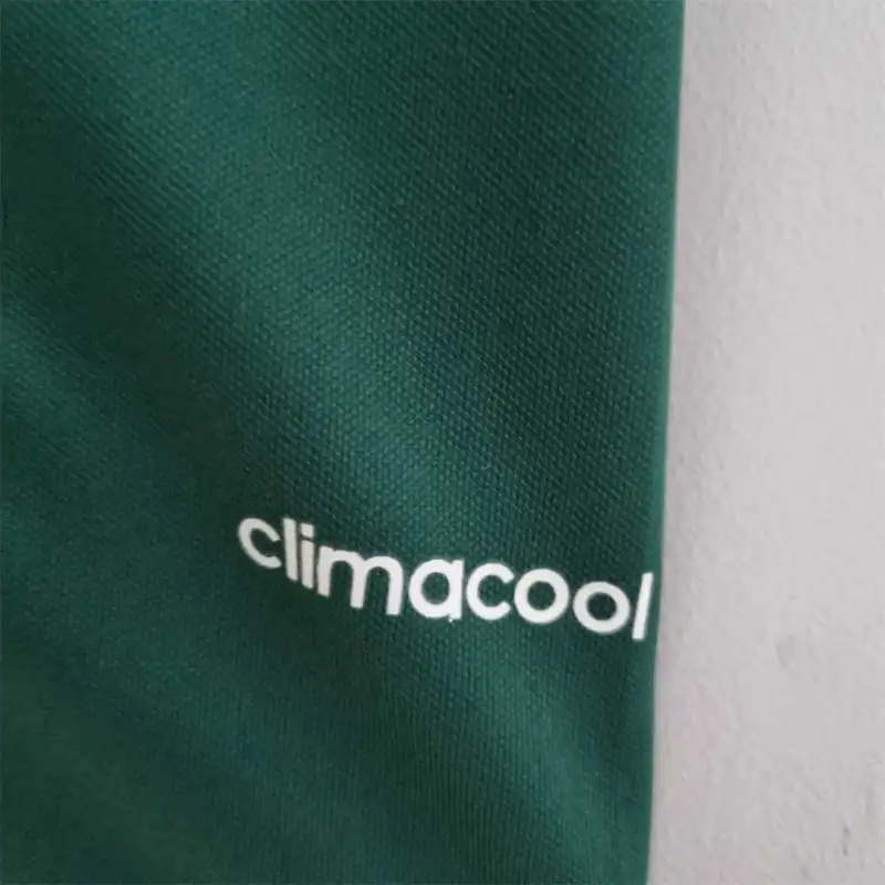 Palmeiras 100th Anniversary 2014/15 Retro Jersey
