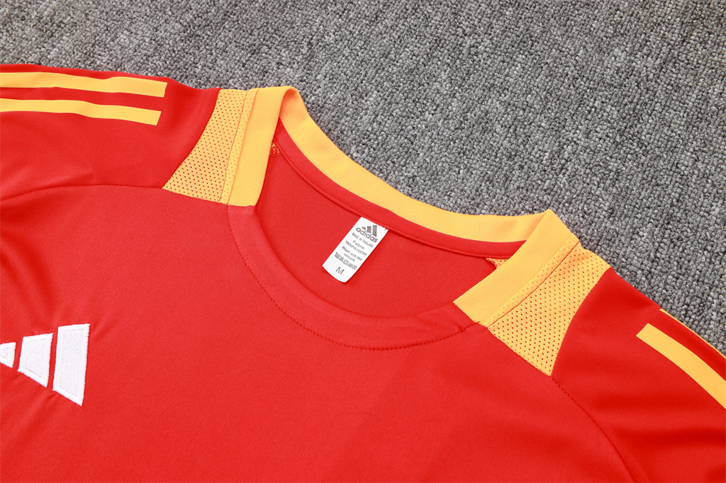 Bayern Munich Training Short sleeve Jersey 24/25