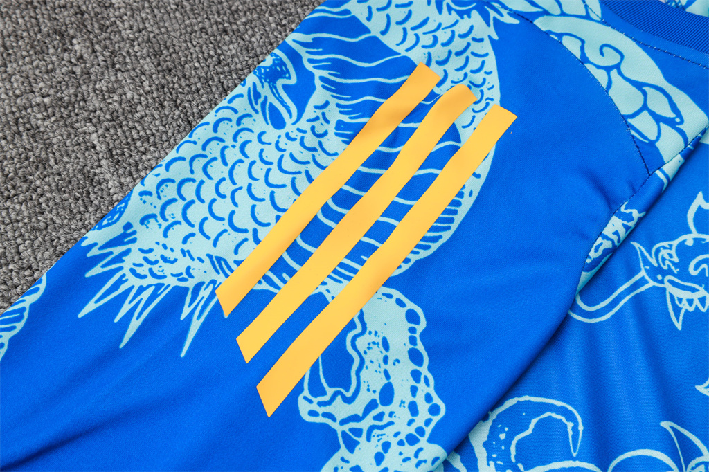 Real Madrid Training Short sleeve Jersey 24/25