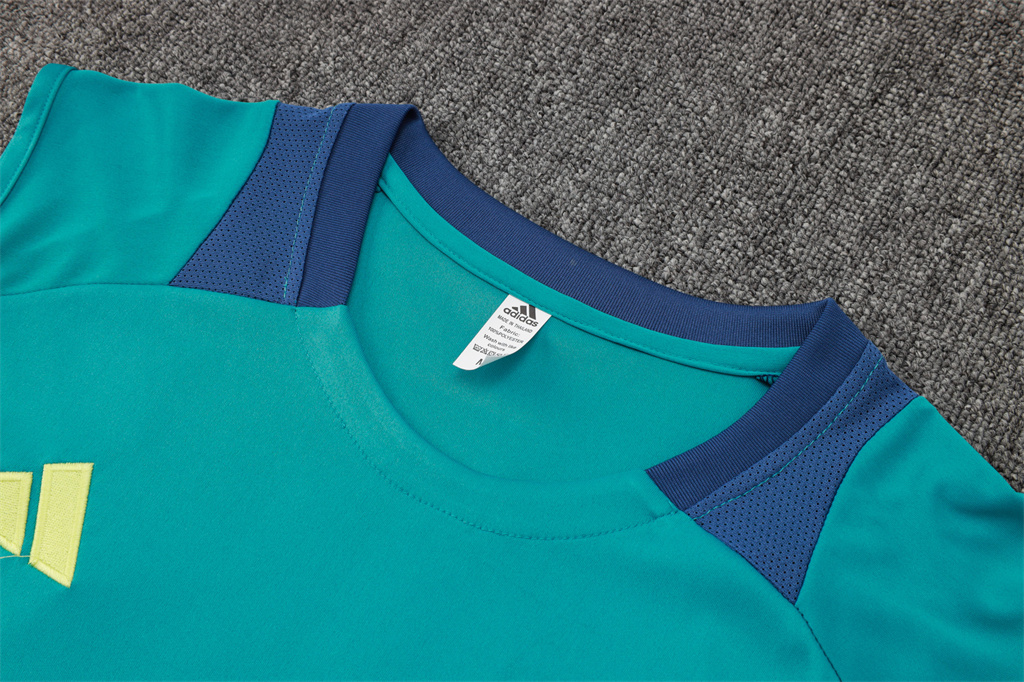 Ajax Training Jersey 24/25