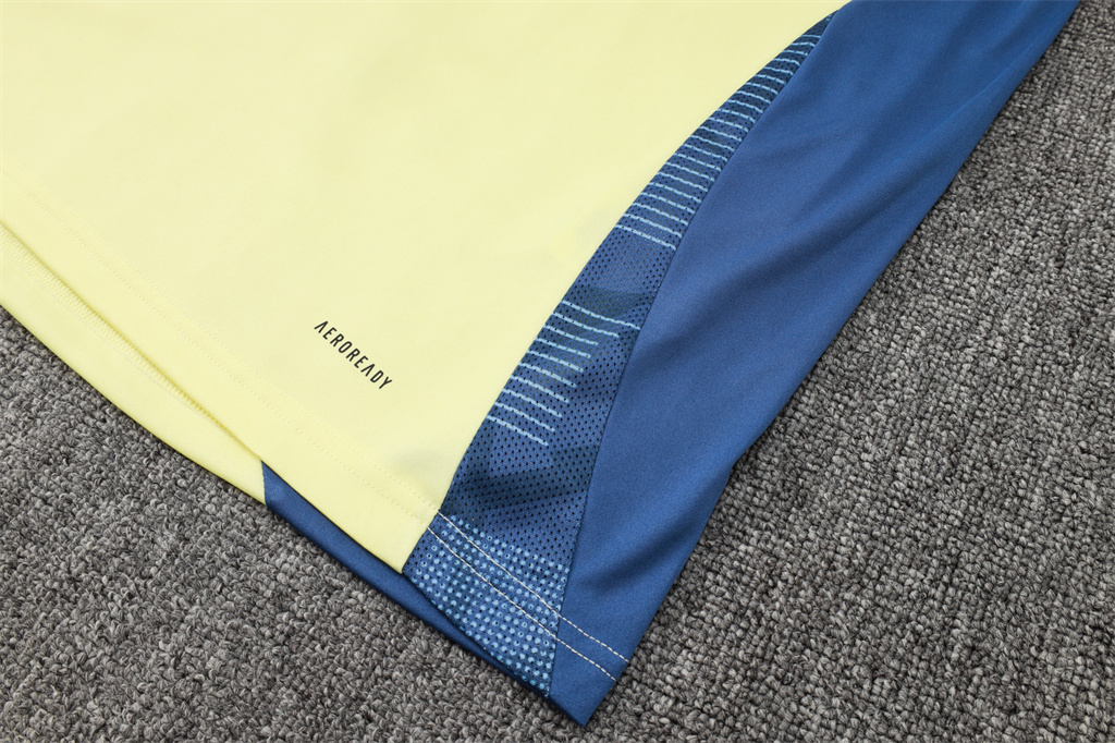 Ajax Training Short sleeve Suit 24/25