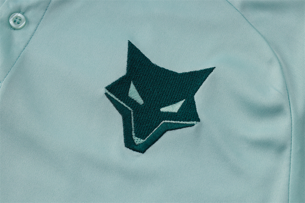 Cruzeiro  POLO Jersey 24/25