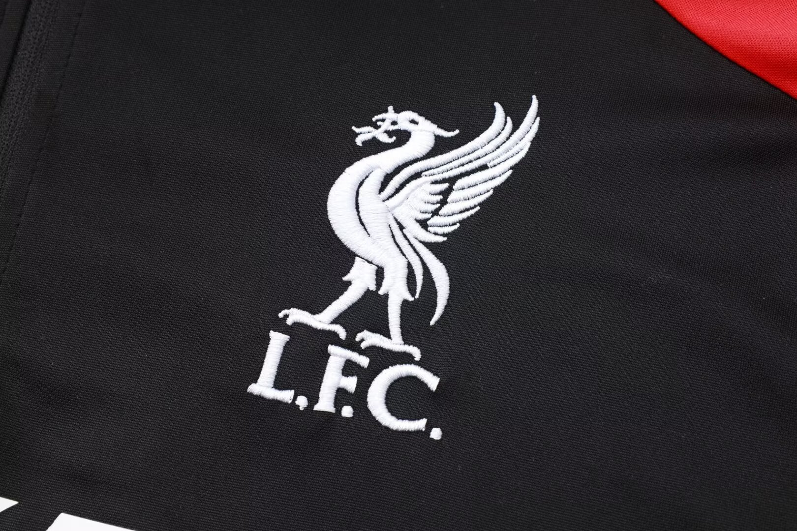 Liverpool Training Jersey Suit 24/25