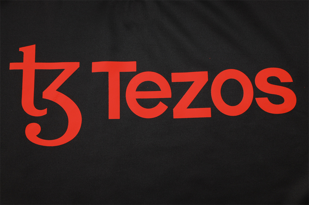 Manchester United Training Jersey Suit 24/25