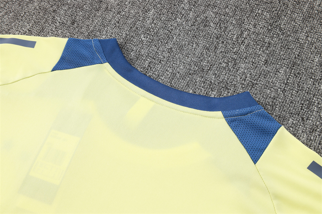 Ajax Training Short sleeve Suit 24/25