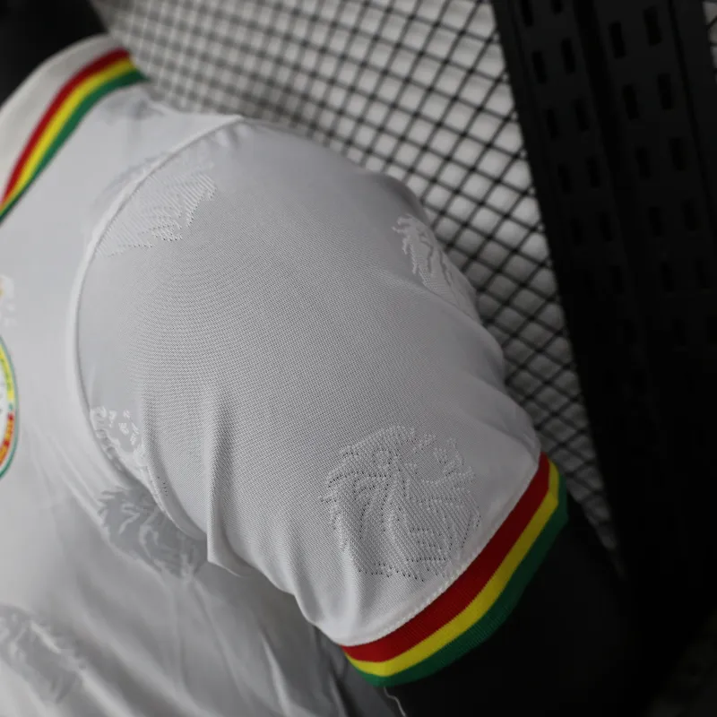 2024/2025 Senegal Special Edition Senegal Football Jersey for Players