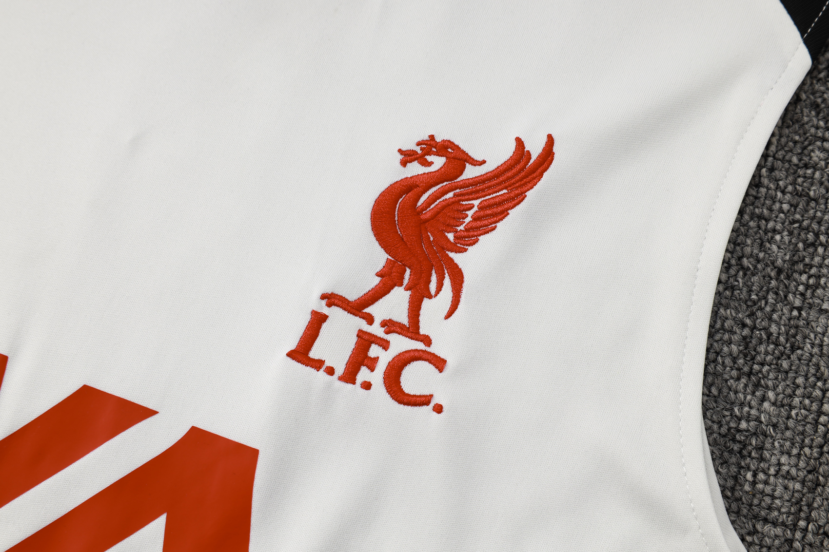 Liverpool Training Jersey 24/25