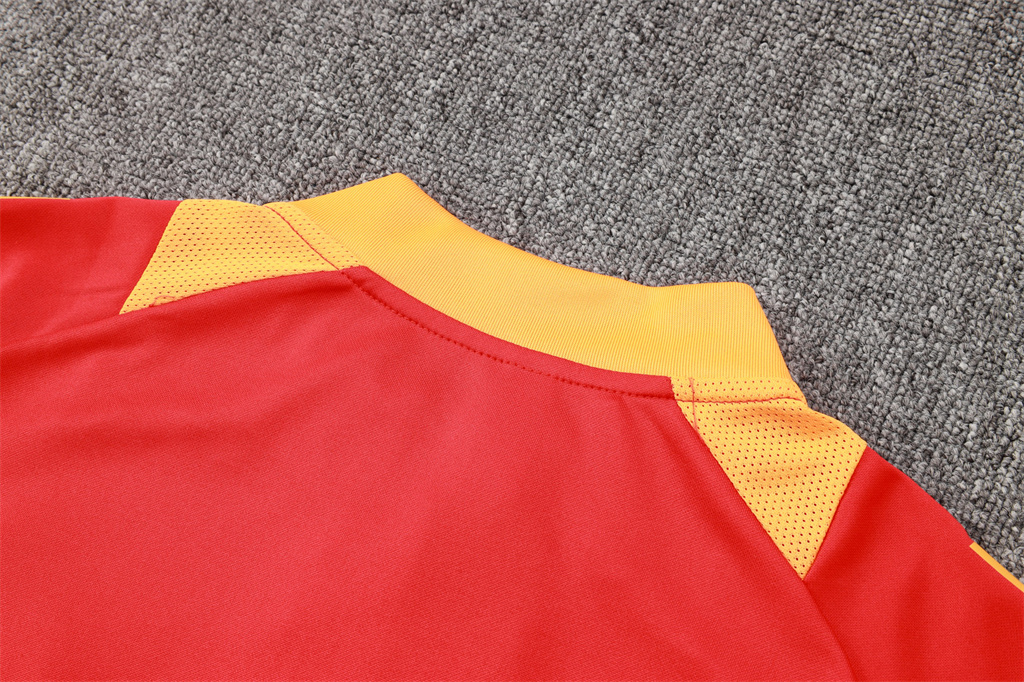 Bayern Munich Training Jersey Suit 24/25