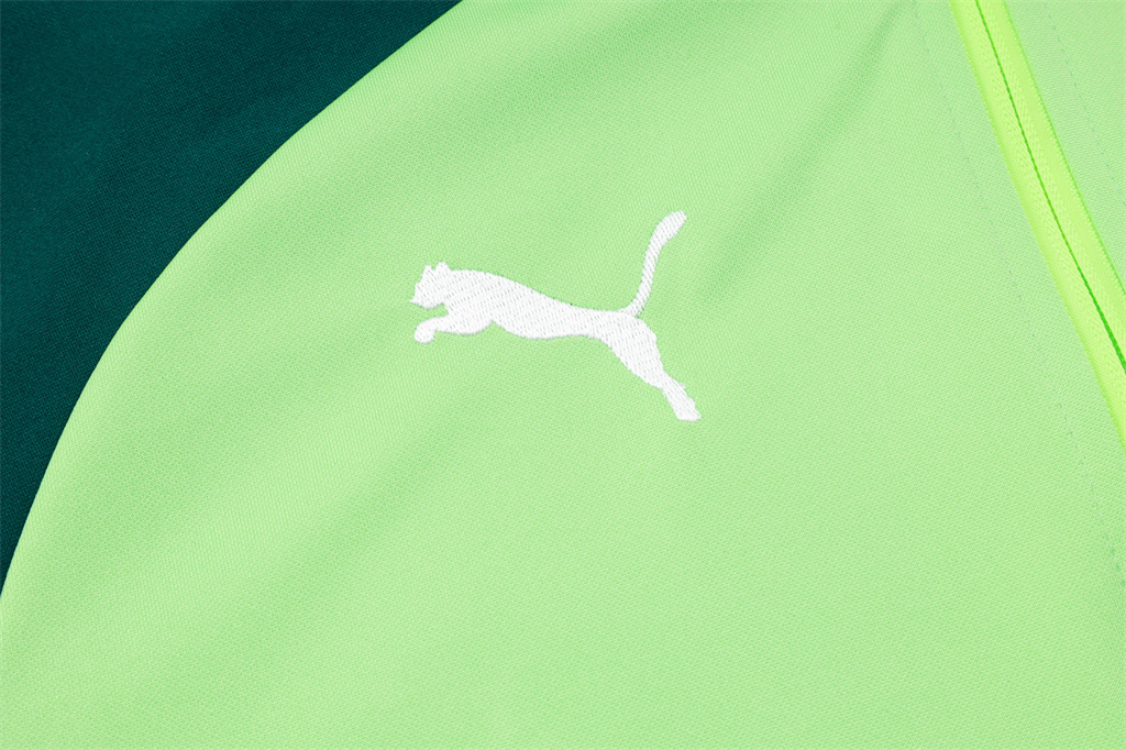 Palmeiras Training Jacket 24/25