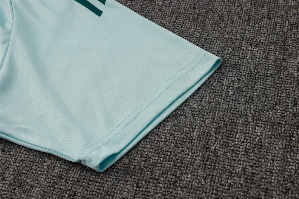 Cruzeiro  POLO Jersey 24/25