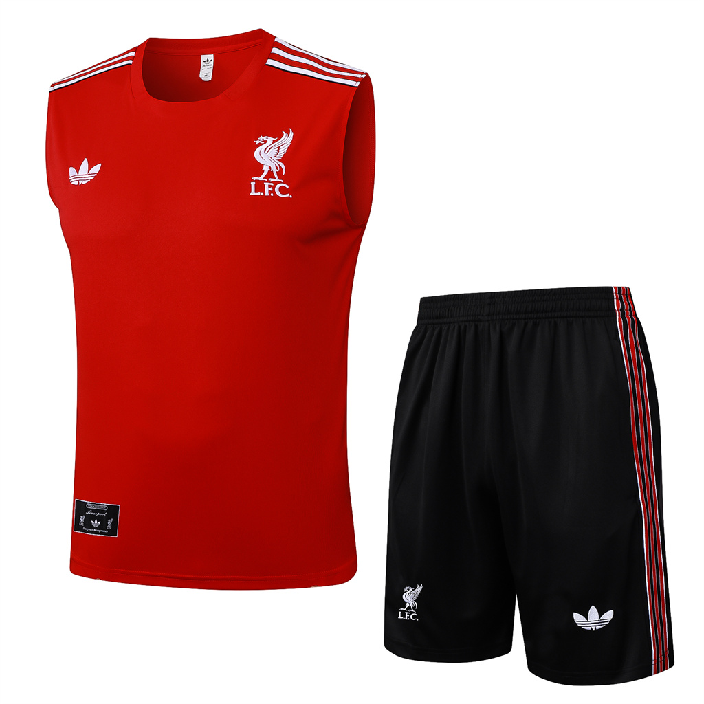 Liverpool Training Jersey 25/26