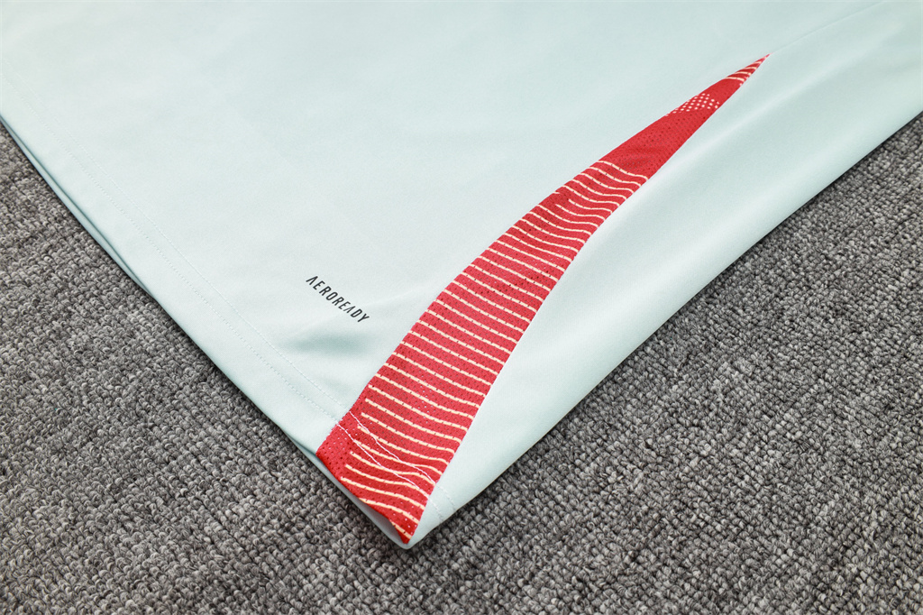 Spain Training Jersey Suit 24/25