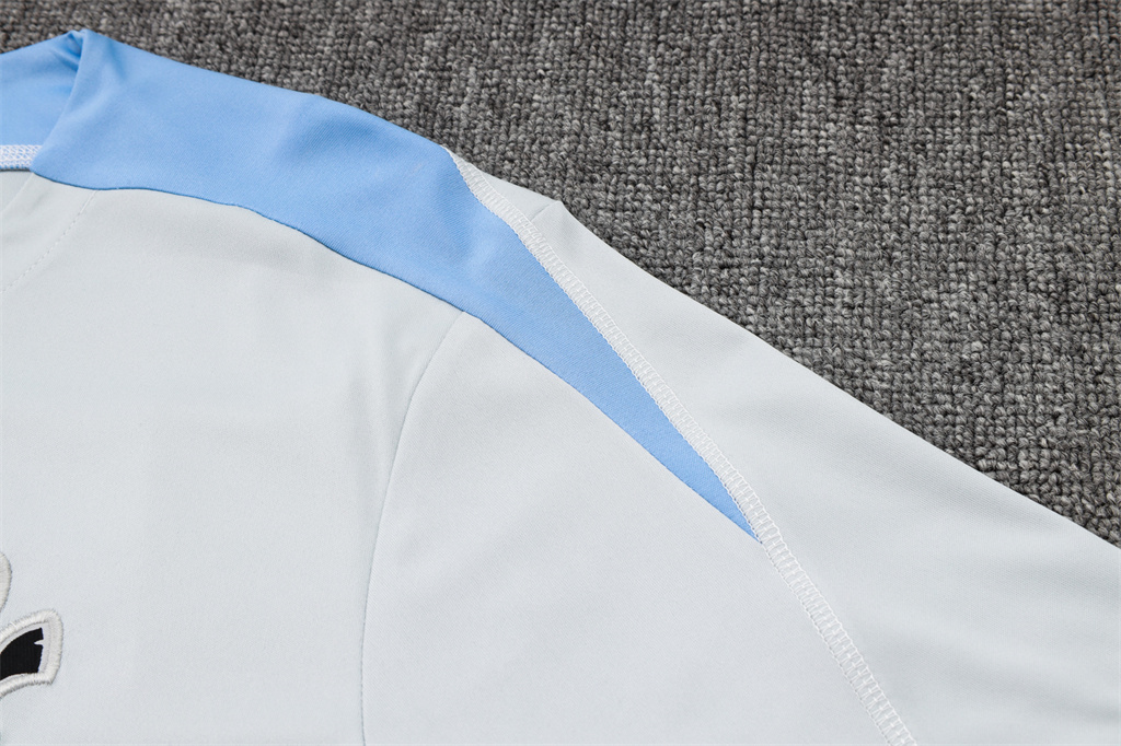 Tottenham Hotspur Training Short sleeve Suit 24/25