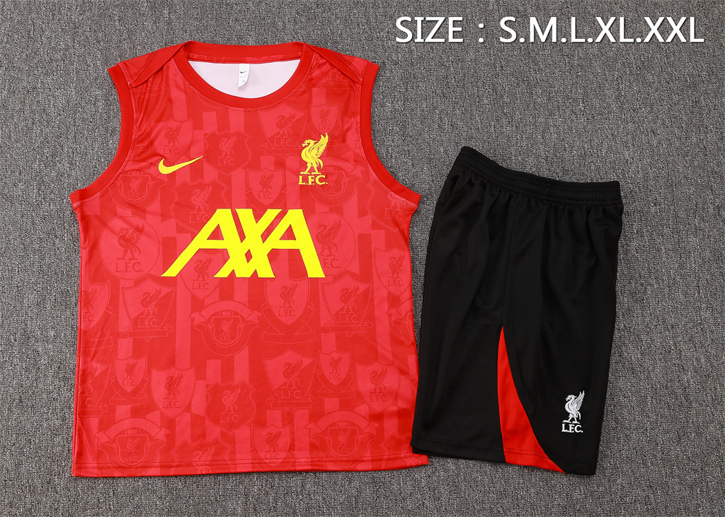 Liverpool Training Jersey 24/25