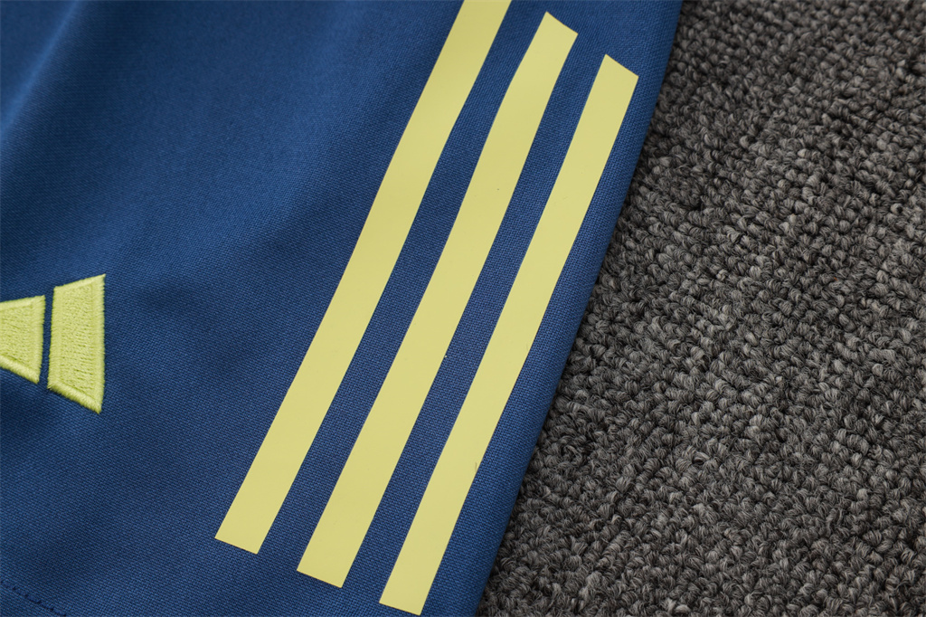 Ajax Training Jersey 24/25